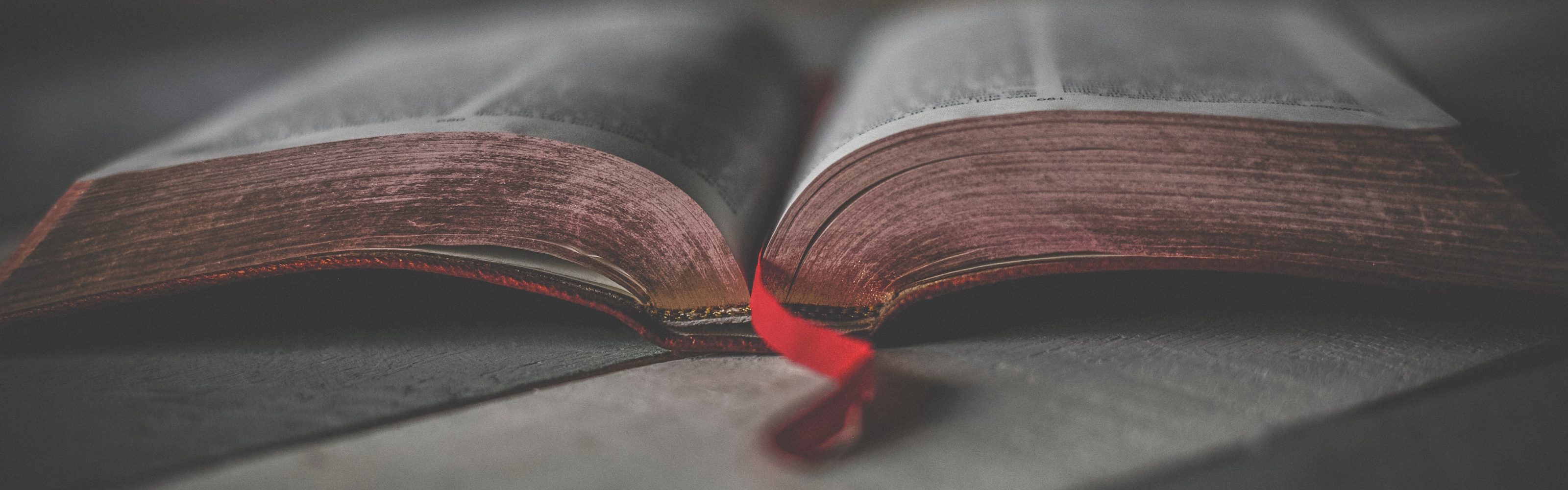 bible-biblia-book-bindings-1112048 bible-biblia-book-bindings-1112048